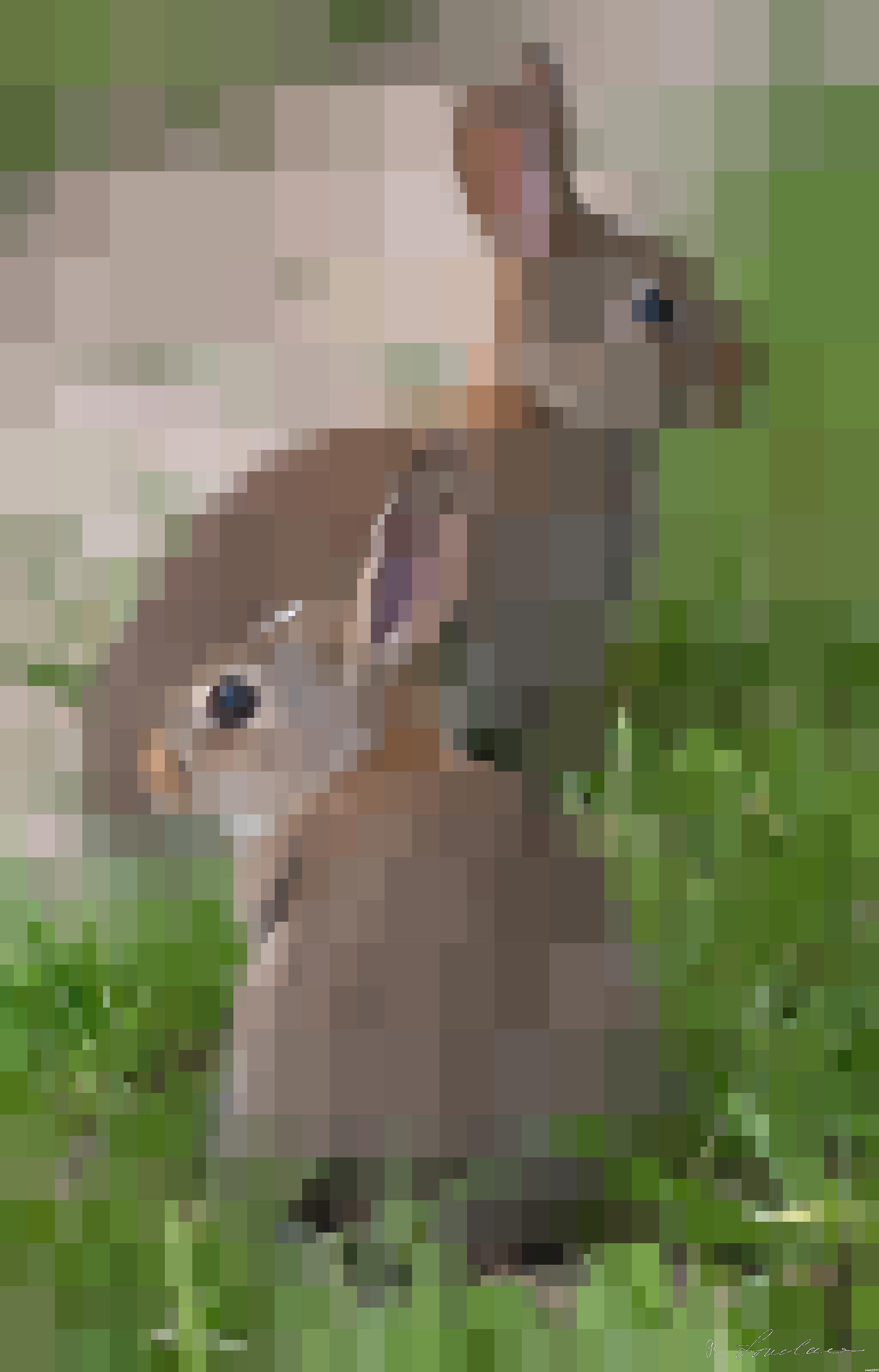 from CC0 photo AI Art