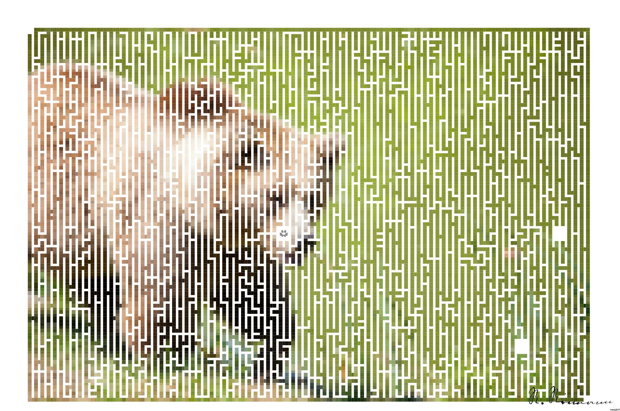 Drawn by bot BSFSNtGYyt8vMK39obSWBe; art-amaze; A majestic grizzly bear standing near a pond in its natural habitat, full of life. AI Art