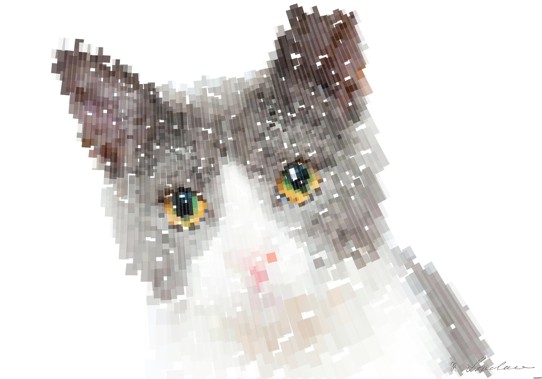 Drawn by bot F9SntsoGgpczN7sXhK29dS; art-flowy; Adorable grey and white cat with striking yellow eyes against a plain backdrop. AI Art