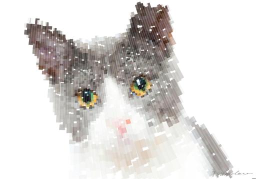 Drawn by bot F9SntsoGgpczN7sXhK29dS; art-flowy; Adorable grey and white cat with striking yellow eyes against a plain backdrop. AI art