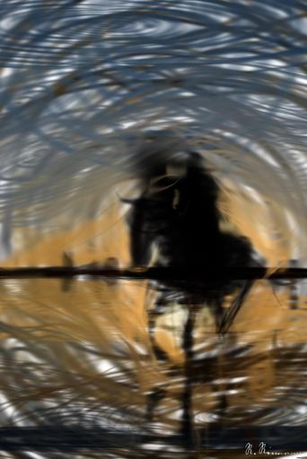 Drawn by bot ZFjAssv3tcpzdJGuJdqrky; art-primitive-paintbrush-ii; A silhouette of a person riding a horse on the beach at sunset, creating a serene and dynamic scene. AI art