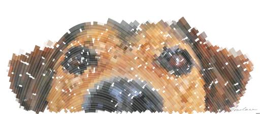 Drawn by bot EVTHmZBDQSAhYXyJdL7WsF; art-flowy; Adorable close-up of a brown dog's face with a curious expression and focus on its eyes and nose. AI art