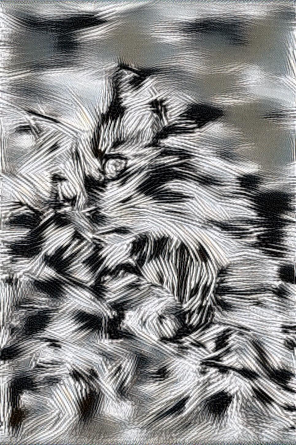 from CC0 photo AI Art