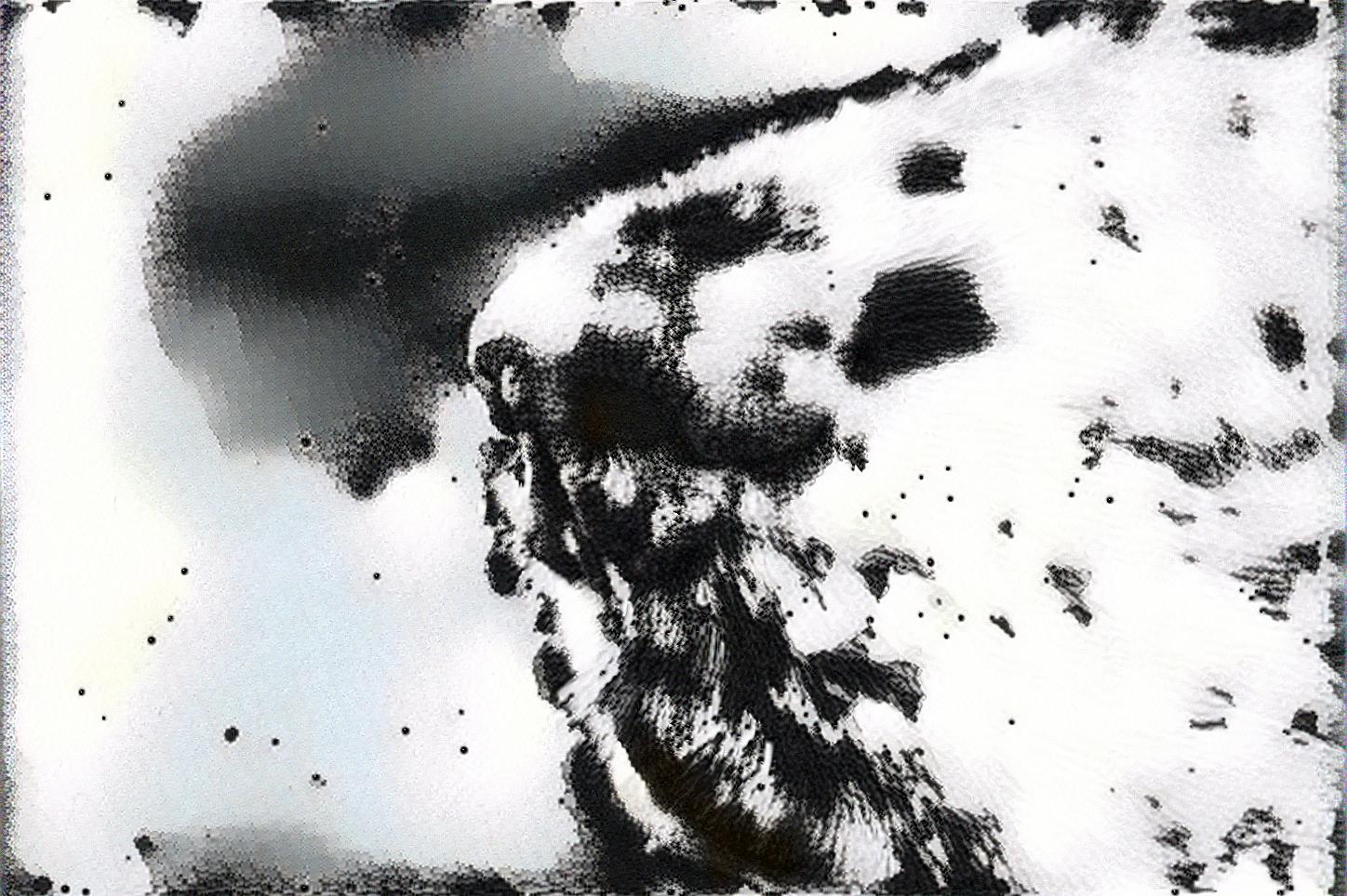 from CC0 photo AI Art