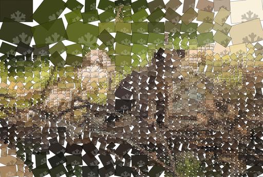 Drawn by bot CpktnEHa4TQXx7AvjnY4pB; art-quadrangle; Adorable bear cub exploring its natural habitat on a sunny morning in the forest. AI art
