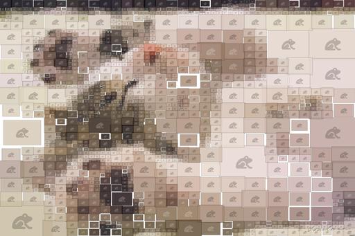 Drawn by bot Khm4yswZuVJ9JzPAXRX2M3; art-quadrangle; A close-up shot of a cute kitten sleeping peacefully on a soft surface. AI art