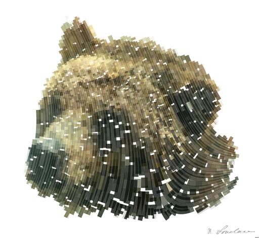 from CC0 photo AI art