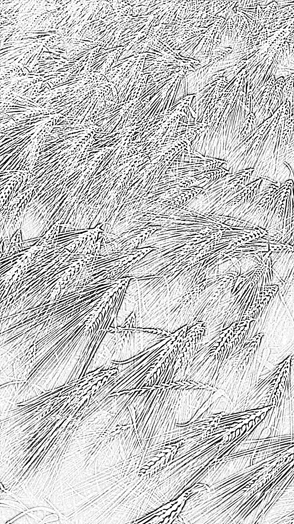 from CC0 photo AI Art