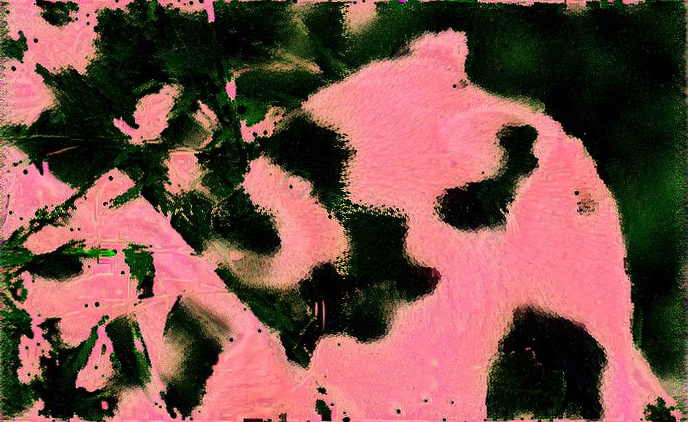 from CC0 photo AI Art