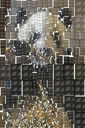 from CC0 photo AI art