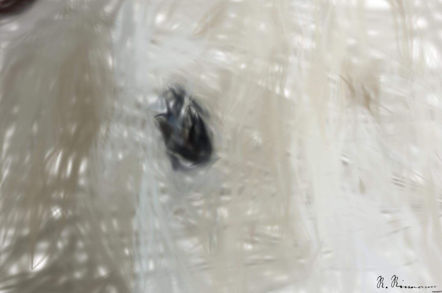 from CC0 photo AI Art