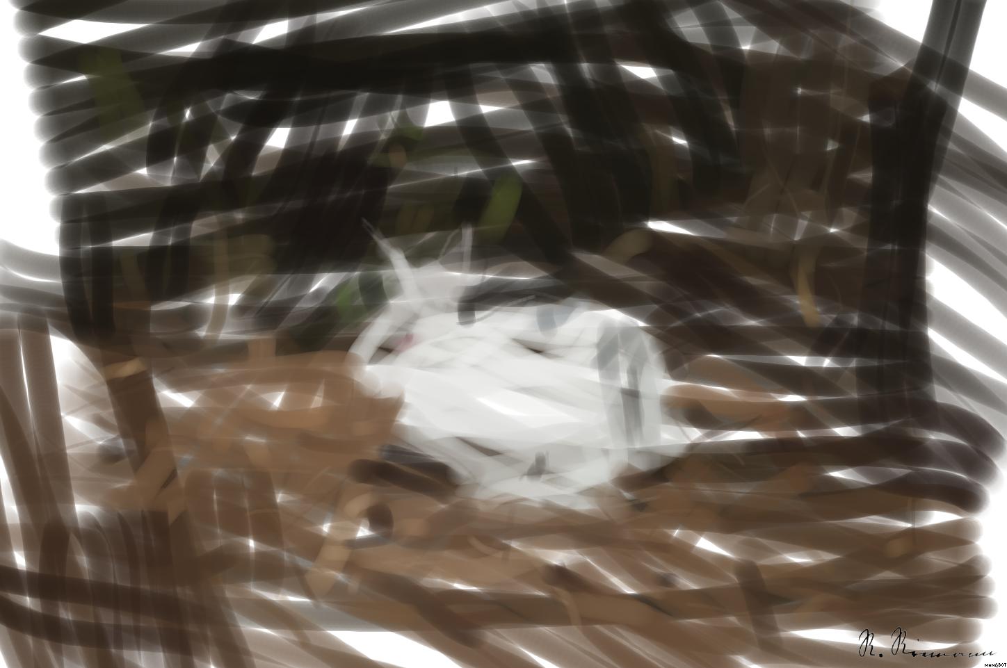 from CC0 photo AI Art