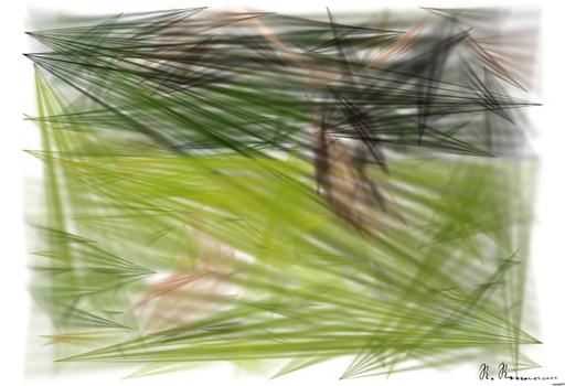 from CC0 photo AI art