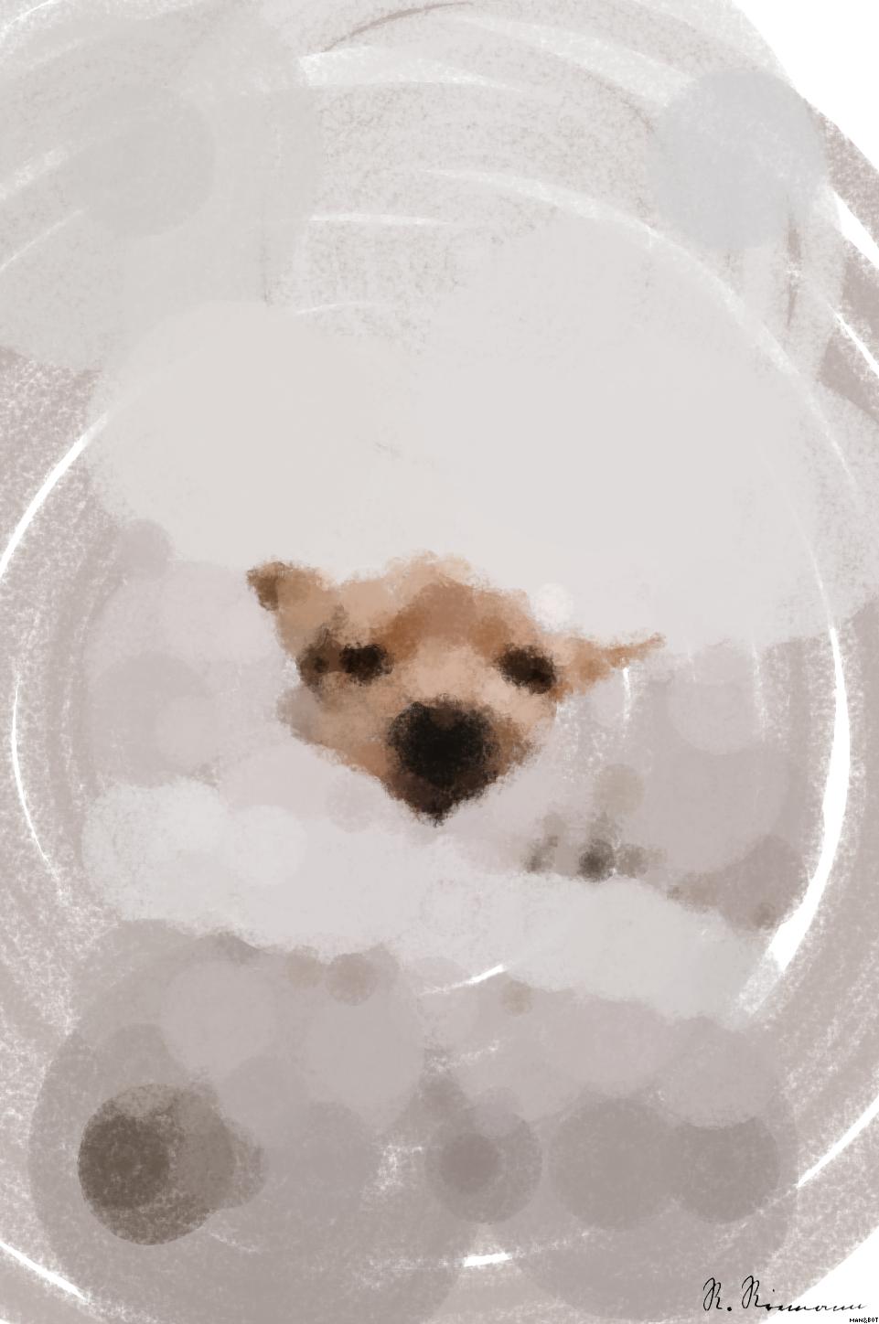 from CC0 photo AI Art