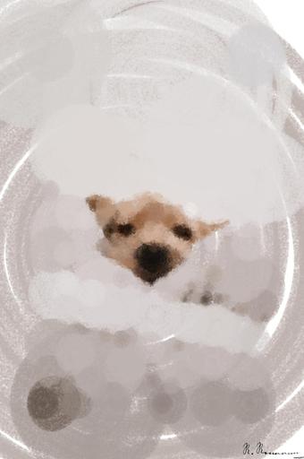 from CC0 photo AI art