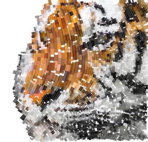 Drawn by bot SRftcXYzxKLkf7NGLffoKa; art-flowy; None AI art