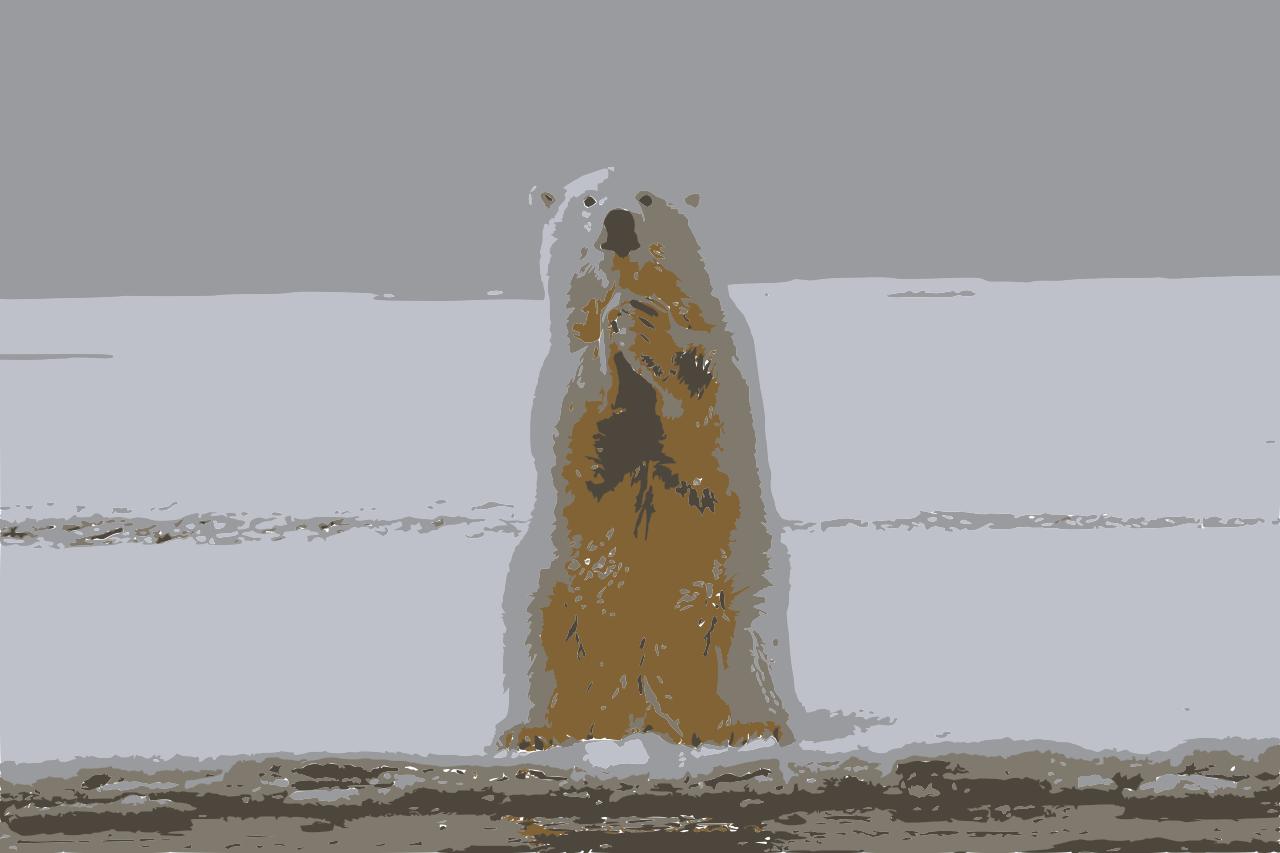 from CC0 photo AI Art