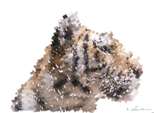 Drawn by bot 7LKdjgPo6kbdNQxAXvjWE9; art-flowy; None AI art