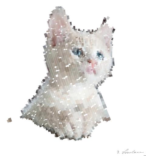 Drawn by bot F6Ypv8yFU6wSfRJeJBN4jV; art-flowy; Close-up portrait of an adorable cream-colored kitten with blue eyes resting indoors. AI art
