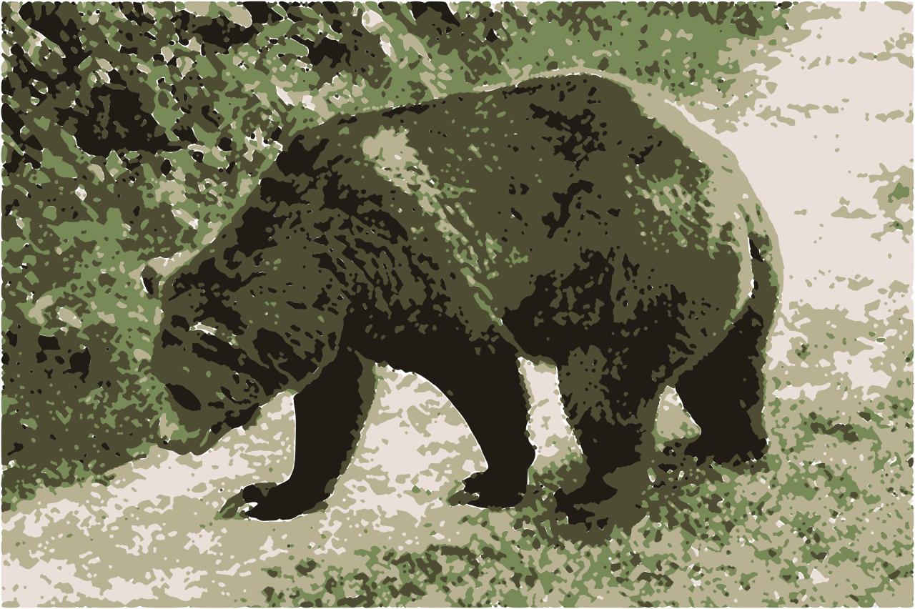 from CC0 photo AI Art