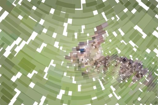 from CC0 photo AI art