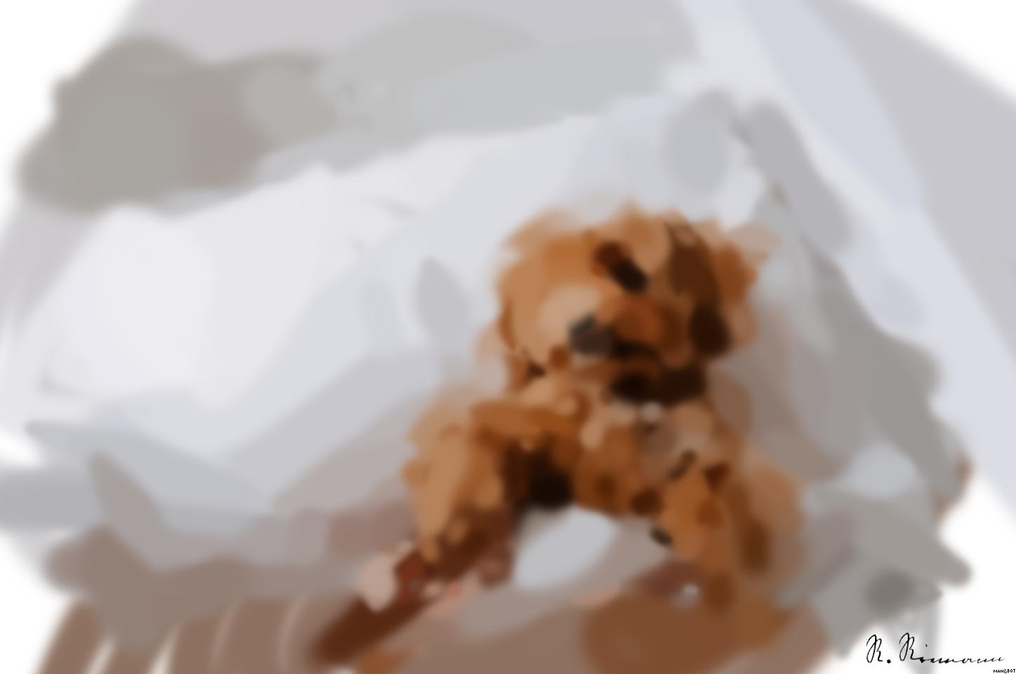 Drawn from photo on Unsplash: a brown dog sitting on top of a bed next to a person AI Art