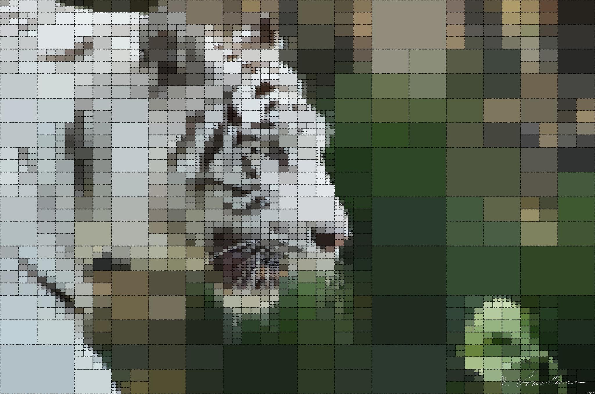 from CC0 photo AI Art