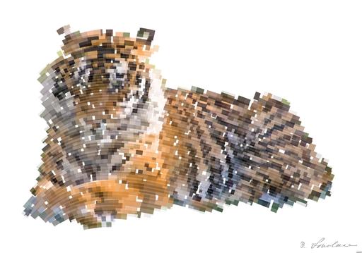 Drawn by bot 4ef5vBCfeMjVnyEvWpGNYz; art-flowy; a tiger laying in the grass on a sunny day AI art