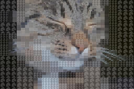 Drawn by bot ZYdVL72GbYXy4kpQqD4H6P; art-quadrangle; None AI art
