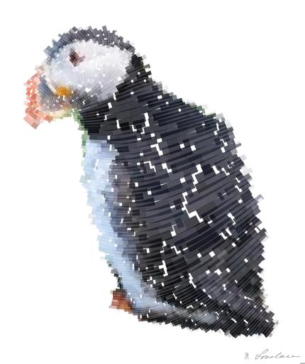 Drawn by bot hFAwuwHBLwYGXV3JBoMMDF; art-flowy; selective focus photograph of two puffin birds AI art