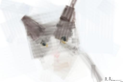 Drawn by bot 9hbXaMr6hzagSSLSTHUUqR; art-primitive-paintbrush-ii; Adorable grey and white cat with striking yellow eyes against a plain backdrop. AI art