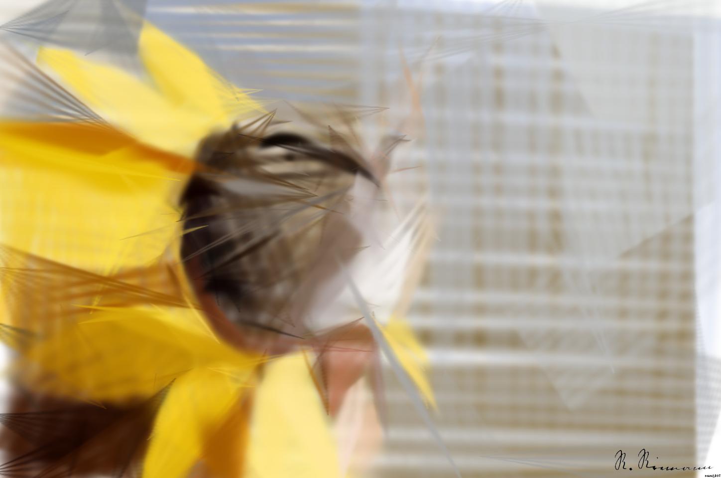 Drawn by bot KxbHcPZfAjSjxwJ6GnYHSH; art-primitive-paintbrush-ii; a cat wearing a sunflower costume on its head AI Art