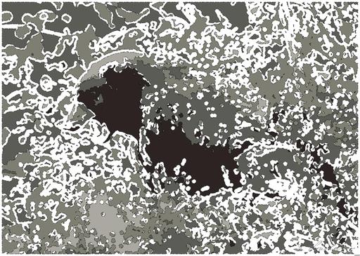 from CC0 photo AI art