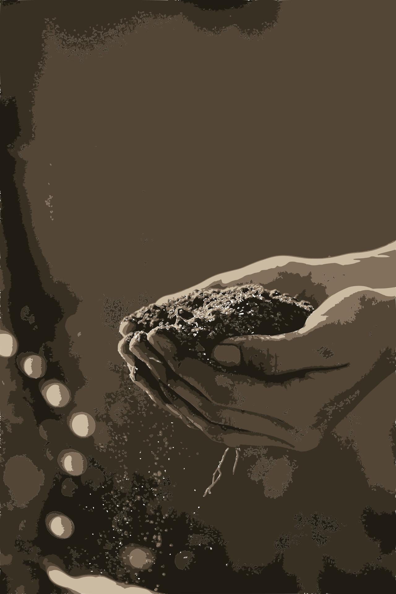 from CC0 photo AI Art