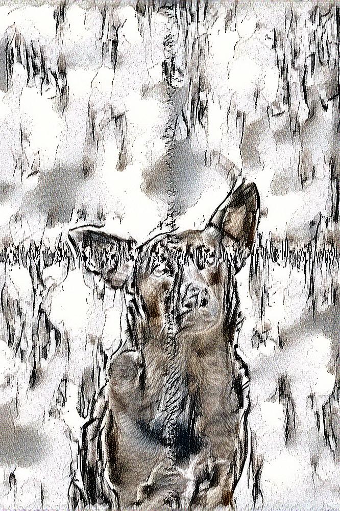 from CC0 photo AI Art