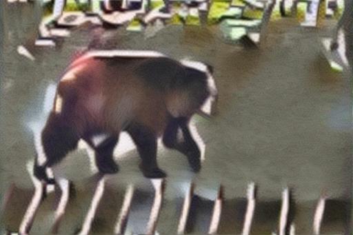 from CC0 photo AI art