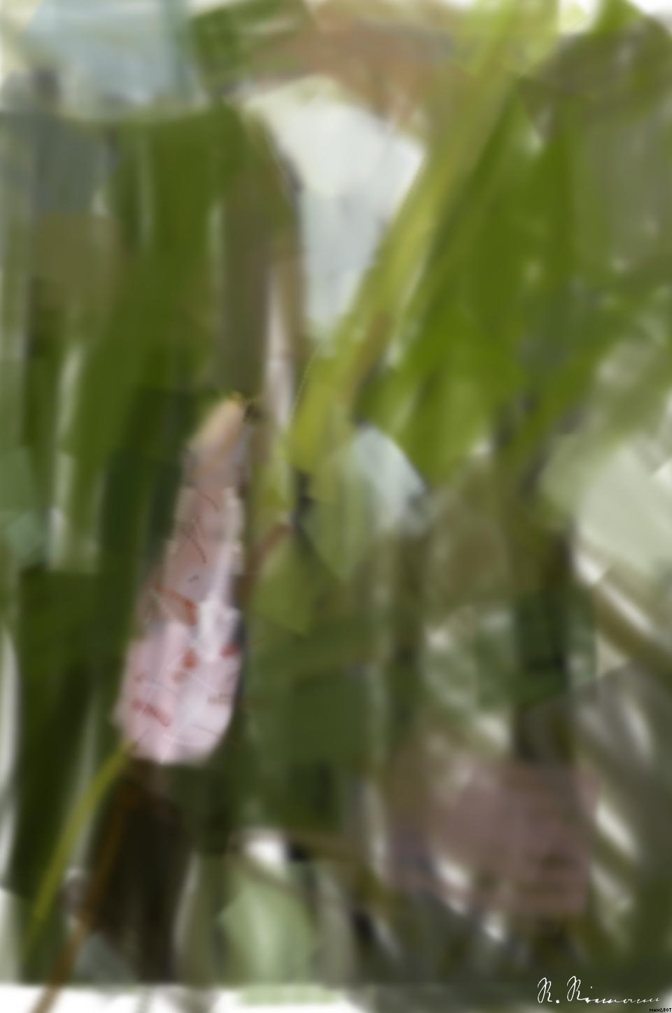 Drawn by bot 3gmAoc6vAj9pQpbPqXRgu6; art-primitive-paintbrush-ii; None AI Art