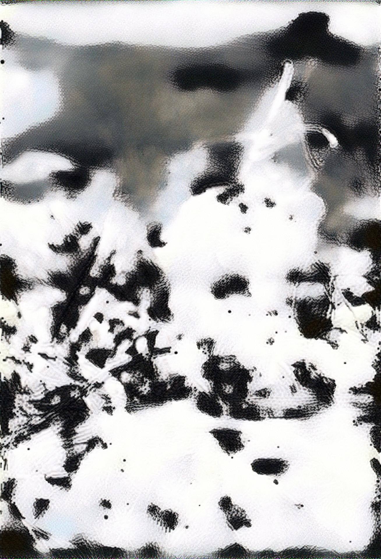 from CC0 photo AI Art