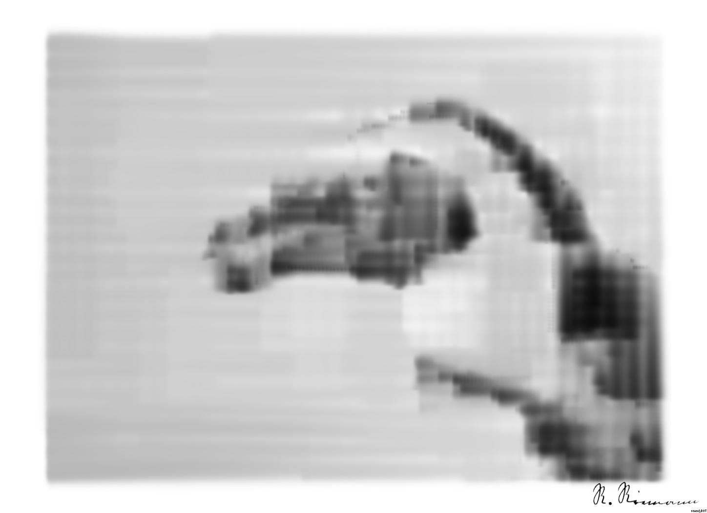 from CC0 photo AI Art