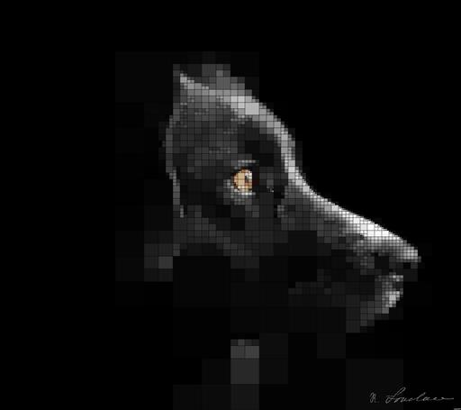 from CC0 photo AI art