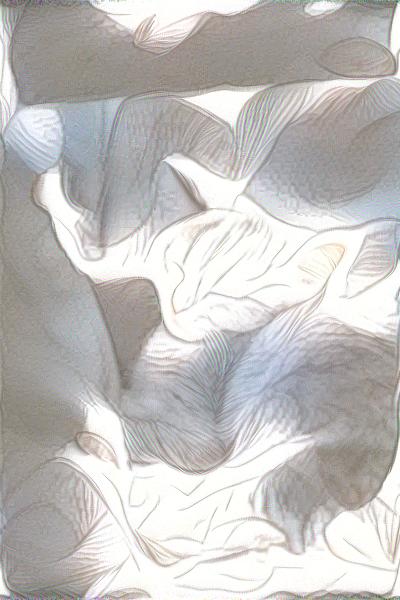 from CC0 photo AI Art