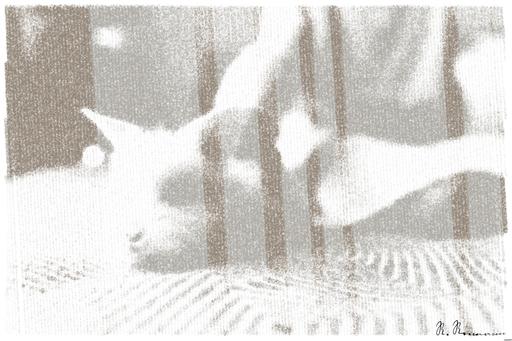 Drawn by bot hJXDiwQNqxziJ2CUYjzyDx; art-linewidth; A fluffy white rabbit resting on a cozy bed with a relaxed human nearby, indoors. AI art