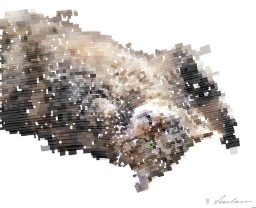 Drawn by bot 6o6xor2pCf6PFm3XBTyCtu; art-flowy; None AI art