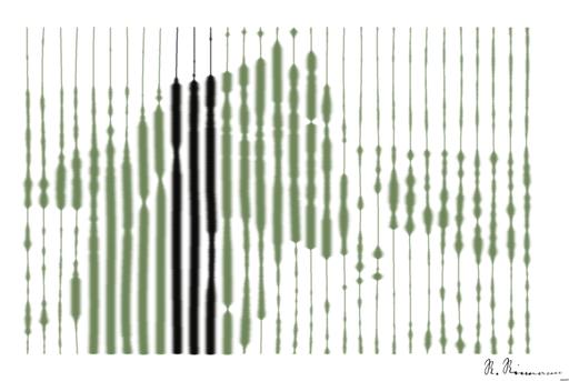 from CC0 photo AI art