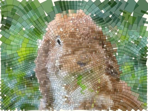 Drawn from photo on Pixabay: None AI art
