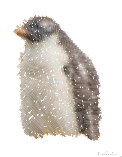 Drawn by bot 2r28QLYBtmij3sLyKY3yDu; art-flowy; penguins on green grass field during daytime AI art
