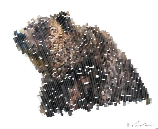 Drawn by bot XGfXkFGfqYnVdm2Gnhr7v9; art-flowy; Close-up of a grizzly bear sitting peacefully in a forest setting, showcasing its powerful presence. AI art