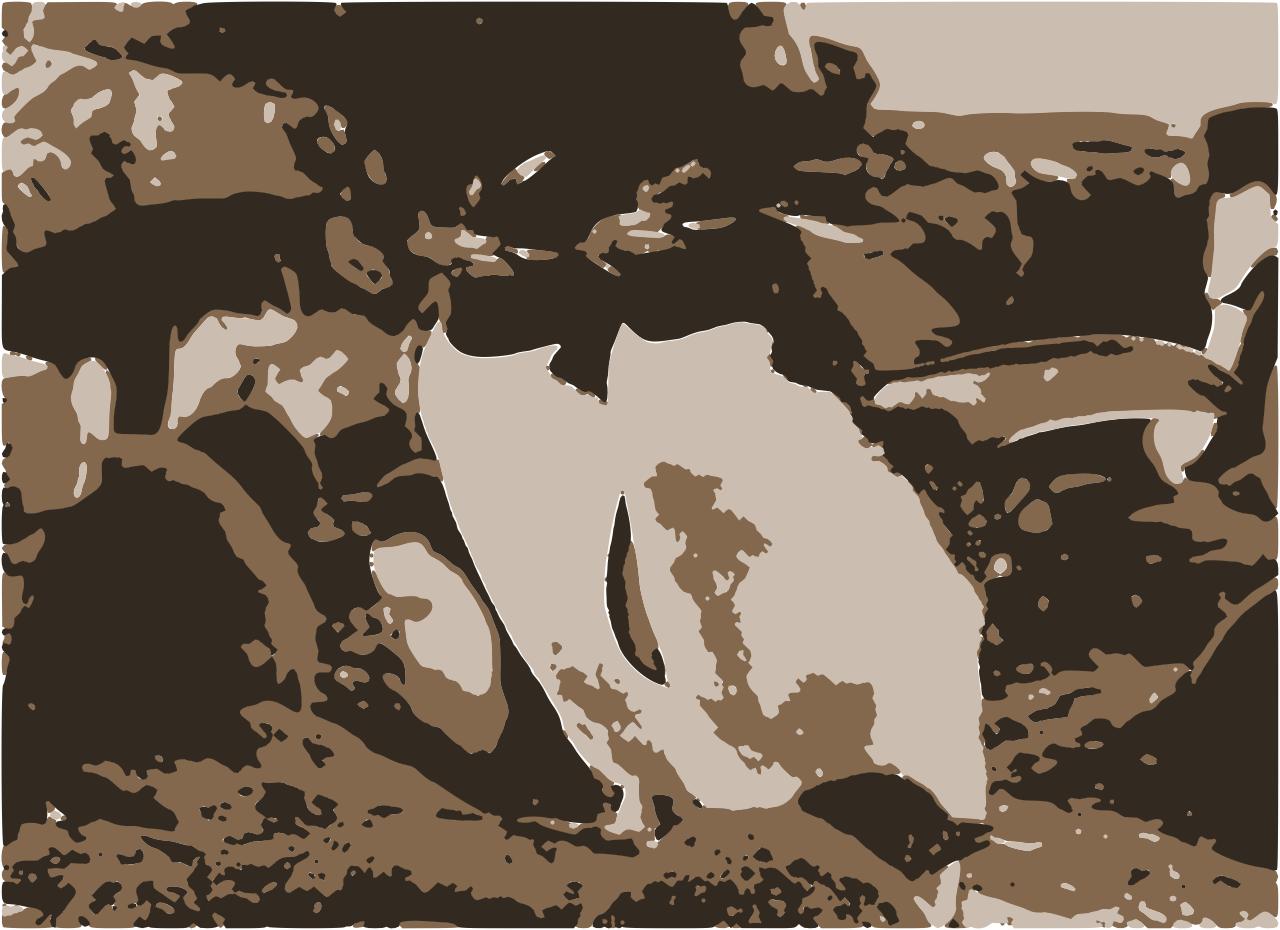 from CC0 photo AI Art