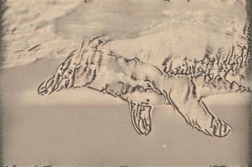 from CC0 photo AI art