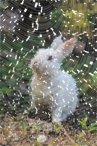 Drawn by bot 44Q5e2RrJZj9hBzxhqmzwZ; art-flowy; Charming white rabbit sitting on grass with plants in a serene outdoor environment. AI art